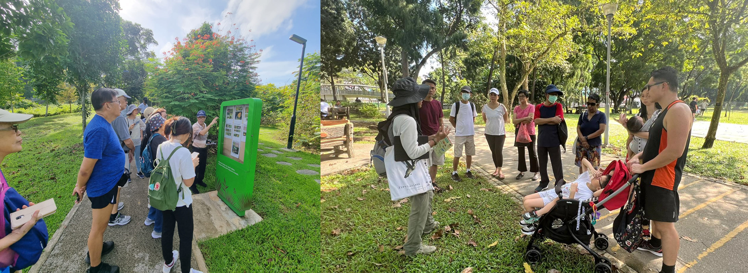 Collage of nature guided walks by Nature Kakis